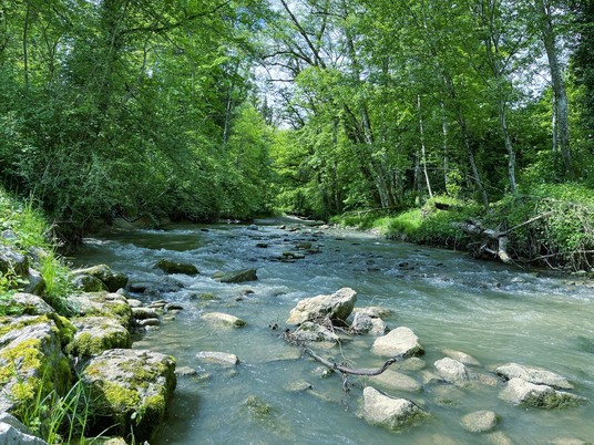 La Menthue